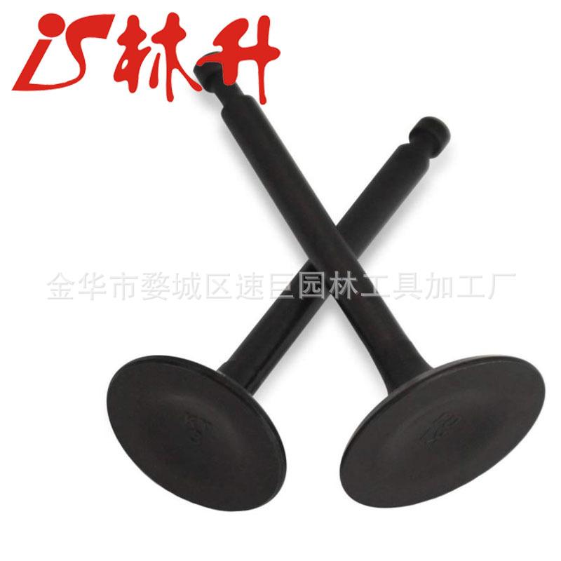 New Inlet & Exhaust Valve