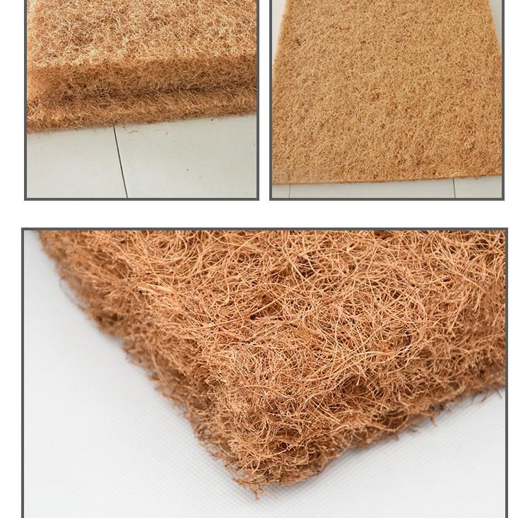 9668516510_504029886