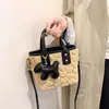 Bolso de Mano Otoño e Invierno Bolso Tote Pequeño para Mujer 2025 Nuevo Bolso Cubo de Felpa Bolso Sencillo de Hombro Cruzado Dropshipping