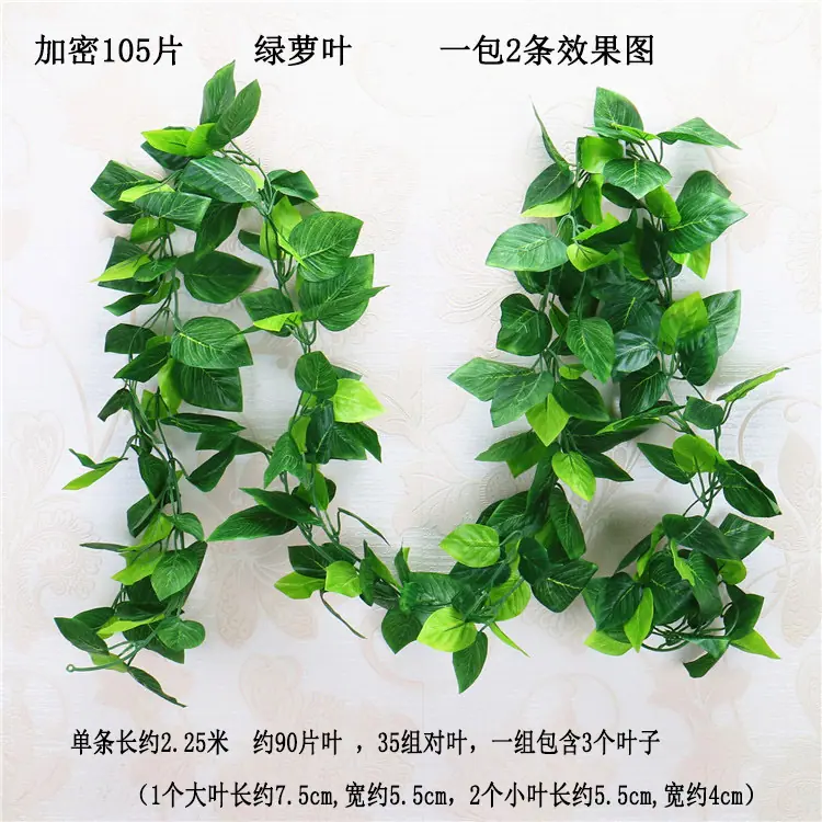 加密105片  绿萝 宋体.jpg