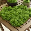 Césped Musgo Tipo Seda Artificial Falso Musgo Arreglo Micro Paisajismo Césped Bonsái Planta en Maceta Pavimentación Paisajismo Venta al por Mayor