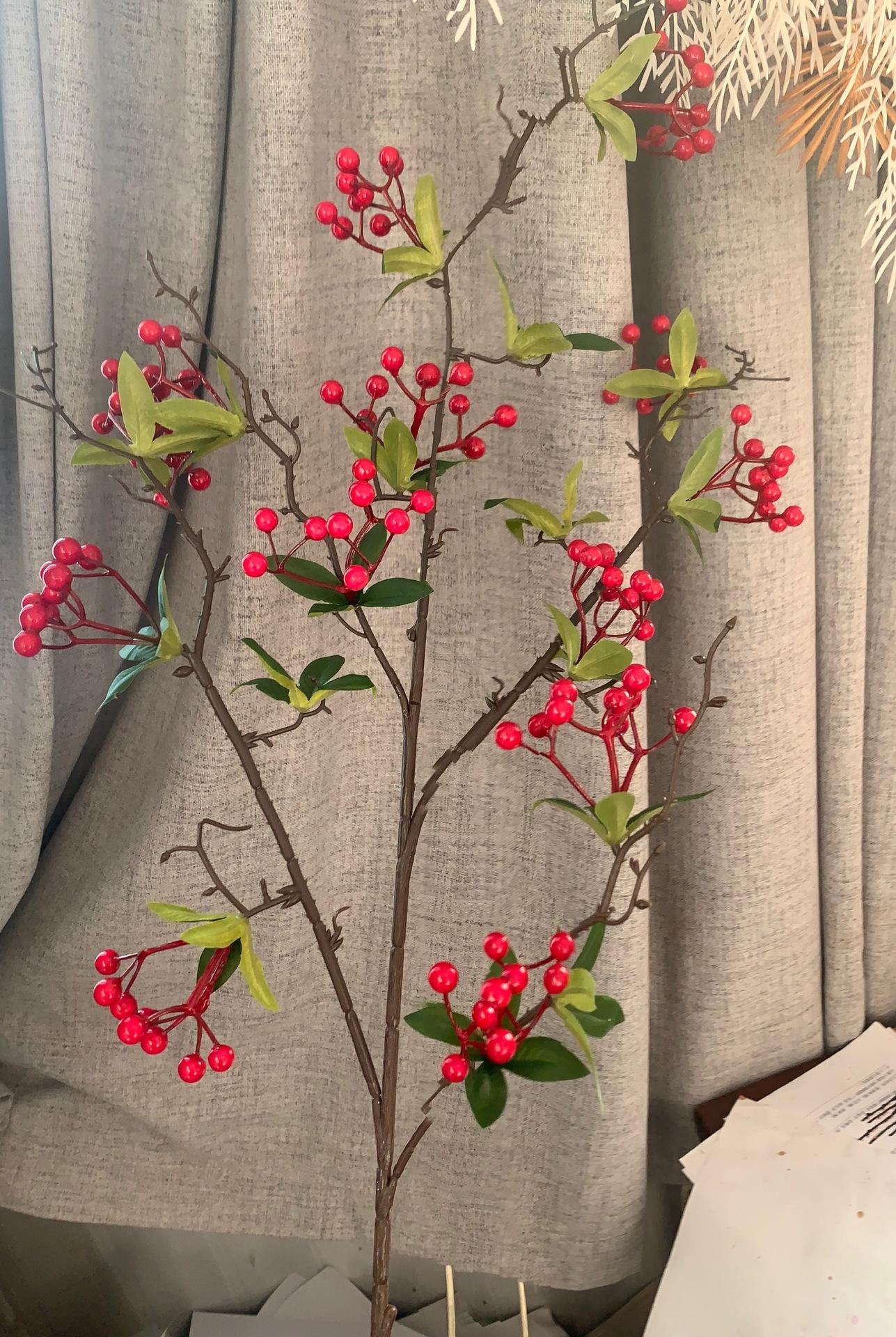 微信图片_20211212063602