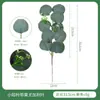 Decoración de Planta Simulada de Eucalipto con Esquejes de Fruta, Ramas Cortas, Hojas de Dinero, Hojas Prensadas, Decoración de Planta Simulada para DIY, Transfronterizo Amazon