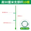 Suporte para Orquídea Phalaenopsis Haste de Suporte para Planta de Orquídea Suporte Retificador de Fibra de Vidro Haste de Fixação para Planta Trepadeira