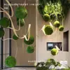 Helecho Colgante Estilo Bosque Techo Pared Verde Planta Decoración Enredadera Tipo Hilo Colgante de Helecho