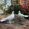 Fábrica de atacado simulação de jardim ao ar livre modelo de pombo animal decoração de jardim adereços simulação de resina ornamentos de pombo