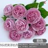 9 Manija de cabeza viga peonía extranjera rosa brasileña nueva pastoral boda belleza flor de seda base salón de bodas coreano flor artificial