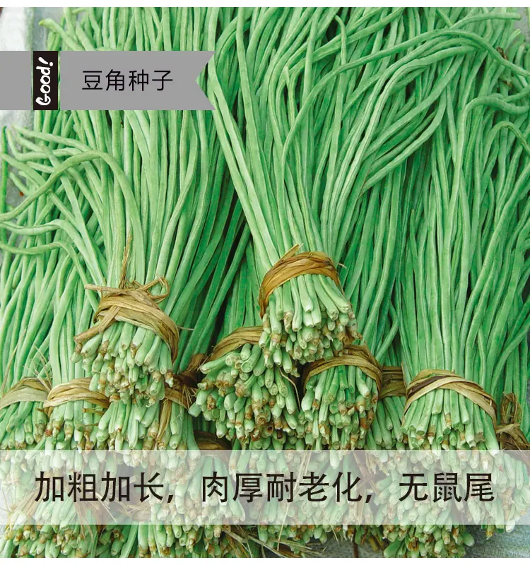 华骏三号03-2