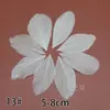Acessórios para Joias DIY de Pena Branca Pena Branca Pena de Casamento Pena de Ganso Pena de Peru Acessórios Decorativos