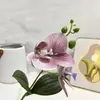 Flor Artificial Falenopsis 2 Flores Sala de Estar Hogar Arreglo Floral Oficina Escritorio Decoración Fotografía Flores Artificiales