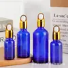 Botella de Vidrio Azul para Aceite Esencial al por Mayor 20ml Botella de Esencia 30ml Botella con Gotero de Punta de Spray Plástica a Prueba de Luz