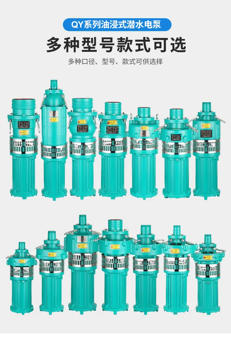 油浸泵详情_07