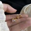 Exquisitos Pendientes Cuadrados de Zirconia para Mujer 2024 Nuevos Pendientes de Moda Lujo Accesible Diseño Nicho Pendientes de Alta Gama