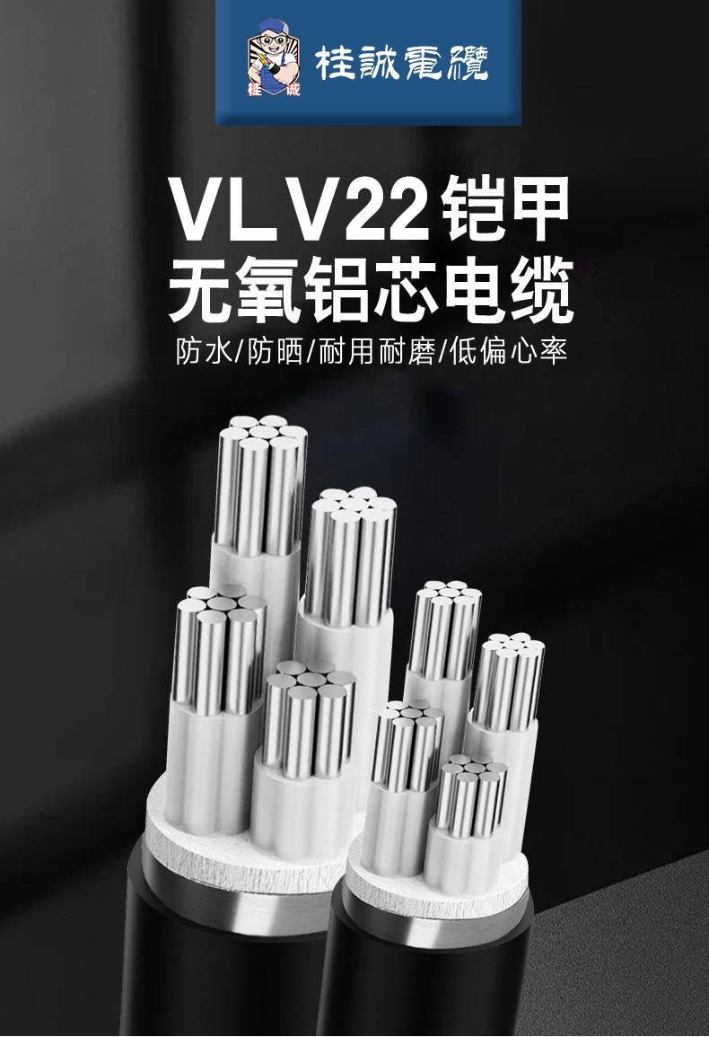 VLV22定制款_01.jpg