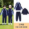 Uniformes Escolares Primarios, Chaquetas de Primavera, Otoño e Invierno, Trajes de Cinco Piezas, Uniformes para Reunión Deportiva de Primer Grado, Uniformes de Jardín de Infancia