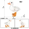 Simulação Cognitiva Infantil Modelo de Vida Selvagem Aves Frango Pato Ganso Ovo de Chocar Cisne Branco Asa Balançando Ganso Pato Amarelo Grande