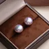 Brincos de Pérola Roxo Aurora de Alto Brilho para Mulheres, High-End, Personalizados, Versáteis, Brincos Elegantes de Nicho Retro Celebridade da Internet