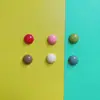 Accesorios de Resina Redondos Semicírculo con Laca Brillante Hechos a Mano Creativos DIY Pasador para el Cabello Funda para Teléfono Móvil Hebilla de Zapato Material Decorativo