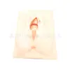 Modelo Perineal de Planificación Familiar Reproductiva Femenina Modelo de Cirugía de Incisión y Sutura Lateral Perineal Modelo de Práctica de Sutura de Vulva