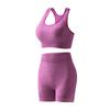 Transfronterizo Nuevo Europeo y Americano Secado Rápido Sin Costuras Yoga Fitness Chaleco Sujetador Deportivo Sexy Conjunto de Sujetadores Deportivos Venta al por Mayor