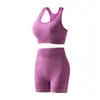 Moda Europea y Americana Transfronteriza Conjunto de Sujetador Deportivo y Shorts Deportivos Sexy sin Costuras para Yoga y Fitness Venta al por Mayor