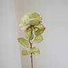 Rosa Grande Estilo Europeu Flor de Seda de Alta Qualidade Ornamentos Decorativos de Luxo Leve Flores Artificiais Buquê para Casa Celebração de Casamento