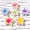 Nuevos accesorios de resina con flores degradadas para joyería DIY, zapatos con agujeros, imanes de nevera hechos a mano, fundas de teléfono con pegamento de crema, pinzas para el pelo