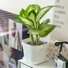 Nuevos Maceteros de Resina de Alta Gama para Uso Doméstico, Macetas de Plástico Espesado para Suculentas y Plantas Verdes, Macetas Grandes de Galón para Maceteros de Balcón