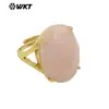 Anillo Unisex Wt-R604 Forma de Huevo de Ganso Textura de Gema Lapislázuli Amatista Chapado en Oro de 18 Quilates para Hombres y Mujeres