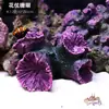 Galhos de Coral Árvore de Ferro do Mar Peixes Vermelhos Pretos Decoração de Aquário Paisagismo Ornamentos Subaquáticos