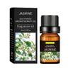 Óleo Essencial de Aromaterapia Desodorizante Transfronteiriço 10ml Máquina de Aromaterapia para Interior Fragrância Duradoura Óleo Essencial de Lavanda para Massagem