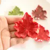 Acessórios Grandes de Resina Folha de Bordo Série de Plantas Acessórios DIY Ímã de Geladeira Semi-Acabado Enfeites Materiais Decorativos