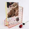 Fabricante Simples e Elegante Porta-Arquivos Mesa de Escritório Rack de Armazenamento Arte em Arame de Ferro Ouro Rosa Armazenamento Livro