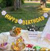 Banner de Aniversário com Tema de Flor Margarida Floresta Bandeirola Pendurada Tecido Não Tecido Fundo de Flor Decoração de Festa de Aniversário Estilo Retrô