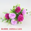 Flor Seca Única Flor de Seda Flor Artificial Buquê Decoração de Plástico Enfeites para Sala de Estar Arranjo de Flores Flor para Performance de Dança de Cerca