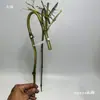 Suporte de bambu para incenso em formato de dragão, matéria-prima brotos de bambu, materiais de bambu DIY feitos à mão, porta-incenso de cabeça de dragão, bambu maciço, bambu oco