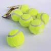 Juguete para Mascotas Tenis Perro Molar Rebote Pelota Elástica Entrenamiento al Aire Libre Pelota Interactiva Cachorro Aliviar Aburrimiento