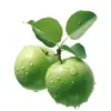 Adesivos de Maçã Verde para Armários de Cozinha, Portas e Janelas, Adesivos Decorativos Autoadesivos para Restaurantes, Adesivos de Geladeira à Prova d'Água, Adesivos de Parede Autoadesivos