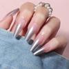 Prata Gradiente Médio-longo Ballet Cor Gelatina Rosa Branco Usar Armadura Europa e Estados Unidos Produtos de Nail Art Transfronteiriços Atacado Direto