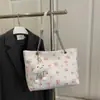 Bolso Cubo Estampado Estilo Dulce de Diseño de Nicho 2026 Principios de Primavera Nueva Moda Tendencia Bolso de Hombro con Cadena para Mujer