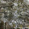 Rodajas Fósiles de Caracola Naturales Adornos de Cristal Piedra Cruda Adornos de Escritorio para el Hogar Piedra de Caracola Especímenes Paleontológicos Venta al por Mayor