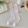 Novas Meias 3/4 Femininas Tudo-em-Um, Meias Finas de Seda para Primavera e Verão, Meias Femininas Versáteis de Cor Sólida na Altura da Panturrilha Venda por Atacado