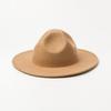 Sombrero de fieltro de lana de ala ancha con parte superior cóncava de lana virgen para otoño e invierno, estilo europeo y americano, ideal para compras, hip-hop, modelaje escénico y moda.