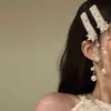 Nuevo Estilo Chino Super Hada Plata Borla Pedrería Pasador de Pelo para Mujer 2025 Nuevo Clip para Flequillo Lateral Estilo Étnico Tocado de Novia
