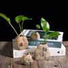 Mesa de Té Zen Creativa Mascota de Té de Cerámica Decoraciones de Piedra de Imitación Mesa de Té Escritorio de Oficina Pequeñas Decoraciones Adornos Hidropónicos