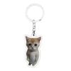 1 PCS Gato Feliz Pingente Chaveiro Pet Cat Chaveiro Estudante Temporada de Formatura Presente Bolsa Acessórios Cordão