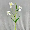 Nueva Flor Artificial Estilo Pintura al Óleo Flor de Orquídea Iris Pequeña Falsa para Escaparate de Centro Comercial, Arreglo Floral, Boda y Decoración del Hogar