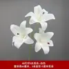 3 Flores de Lirio Simulación 3D Pequeño Libro Rojo Mismo recomendar Boda Decoración de Boda Flor Ventana Fotografía Paisaje