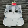 Broche de acrílico de gato coreano e americano fofo, emblema de patch de animal de desenho animado, acessório de pino para bolsa, pequeno ornamento