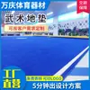 Artes Marciales Sanda Lucha Gimnasia Esterilla Enrollable Salón de Educación Temprana Piso Deportivo XPE Sin Costuras Competición de Porristas